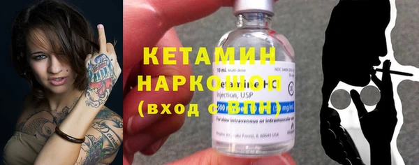 хмурый Аркадак