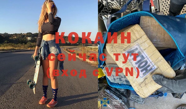 соль ск Алексин