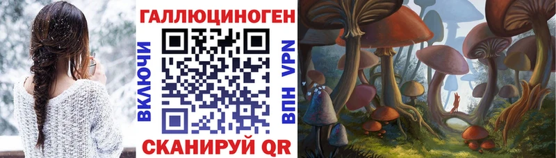 Псилоцибиновые грибы ЛСД Ахтубинск